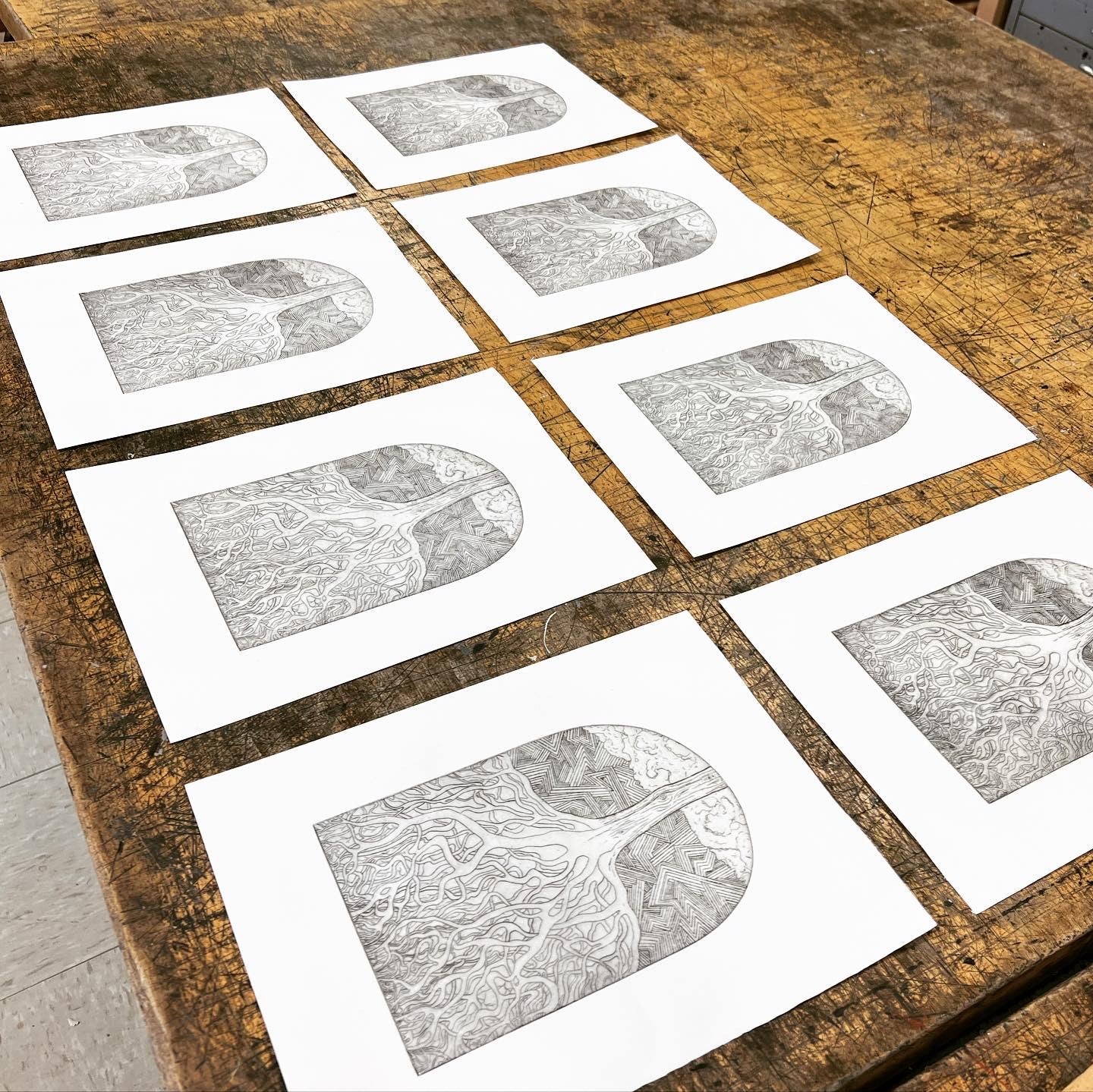 Living Foundation- Original Intaglio, Edition of Seven image 5