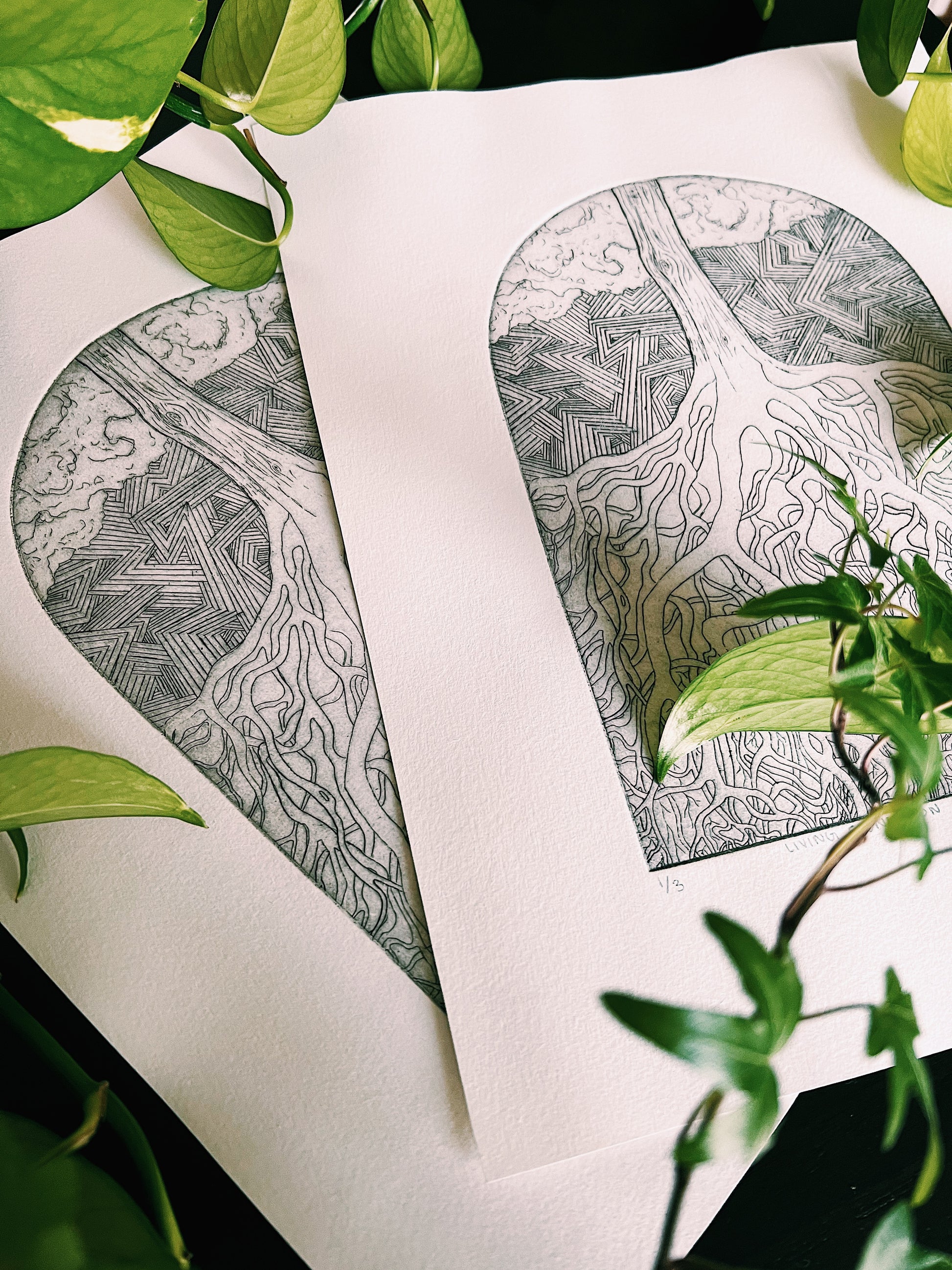 Living Foundation- Original Intaglio, Edition of Seven image 2